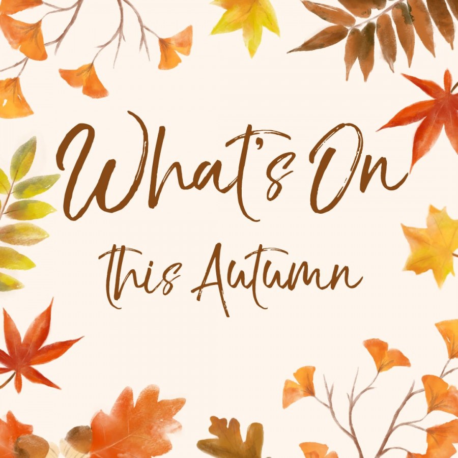 What’s On in Lichfield this autumn